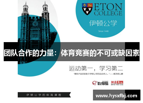 团队合作的力量：体育竞赛的不可或缺因素