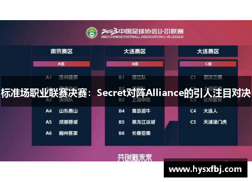 标准场职业联赛决赛：Secret对阵Alliance的引人注目对决